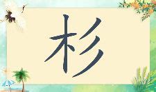 杉名字|带杉字好听的名字